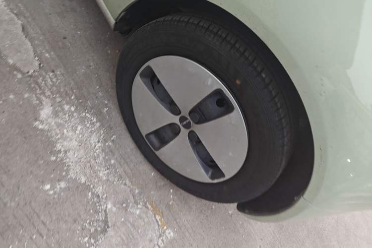 Used ORA Black Cat 2022 Updated Version 301 km Cute Pet Edition Lithium Iron Phosphate
