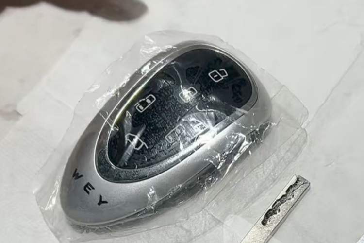 Used Wey Gaoshan 2023 Four-Wheel Drive Flagship Edition