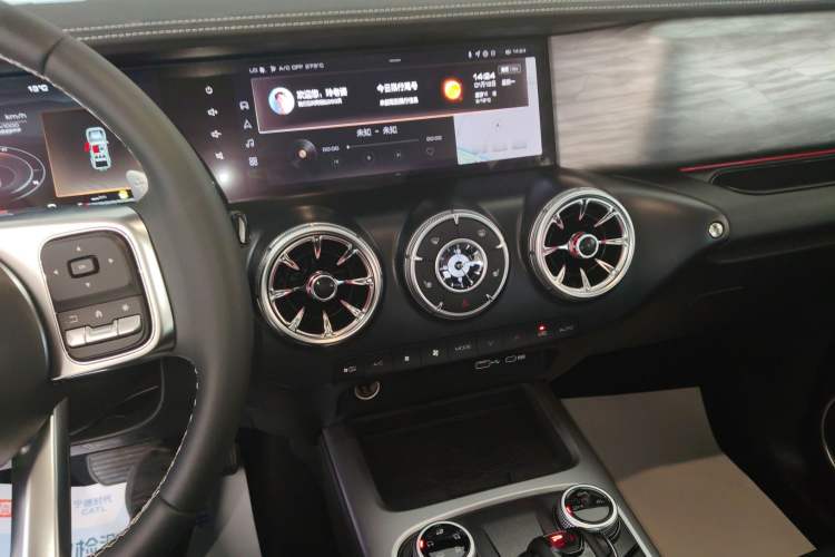 Used Tank 300 2024 2.0T Conqueror
