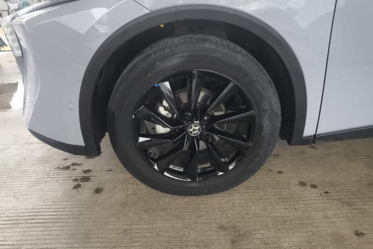 Used Venucia V 2021 260T Tianwang Edition
