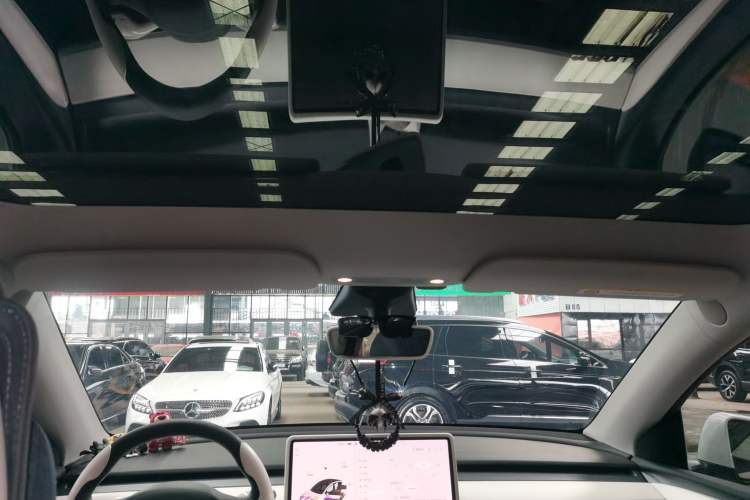 Used Tesla Model Y 2021 Long-Range All-Wheel-Drive Version Headliner