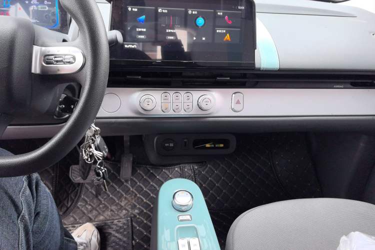 Used Qiyuan Lumin 2022 155 km – Refreshingly Sweet Edition