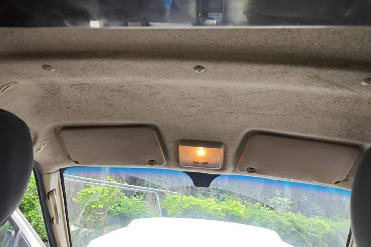 Used Ruichi EC35 2020 EC35 II Standard Edition 38.64 kWh Headliner