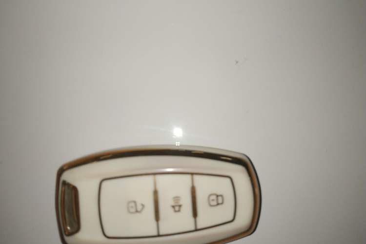 Used Haval H6 Coupe 2015 Blue Label 2.0T Automatic Two-Wheel Drive Prestige Model