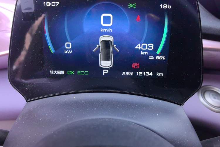Used BYD Dolphin 2023 420 km Fashion Edition Odometer Close Up