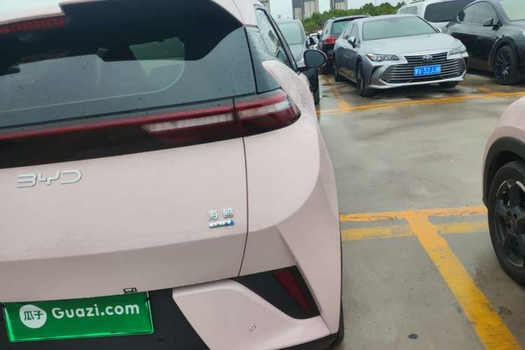 Used BYD Seagull 2025 Smart Drive Version 305 km Freedom Edition