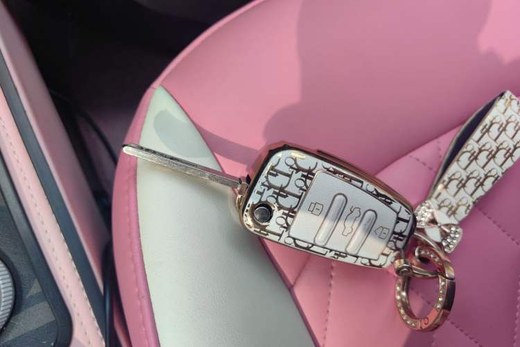 Used Chery QQ Ice Cream 2024 Youth Edition 205km Milkshake Vehicle Key