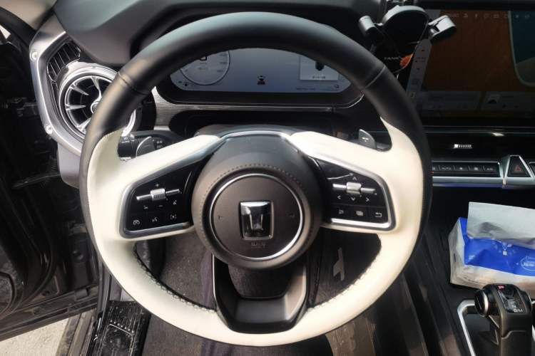 Used Tank 400 New Energy 2024 Hi4-T City Edition
