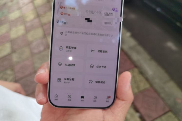 Used Li Auto L9 2022 Max model Vehicle Key