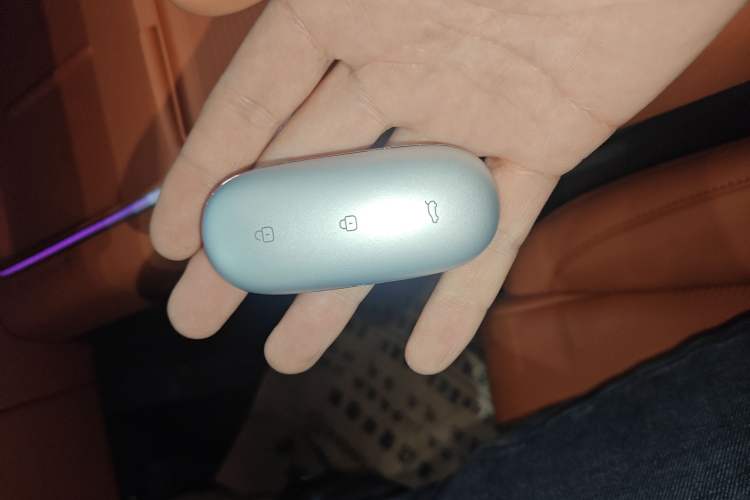 Used Li Auto L9 2023 Pro Model
