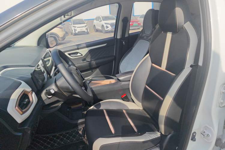 Used SOL E10X 2022 Flower Fairy Style Baby's Breath Left Front Seat