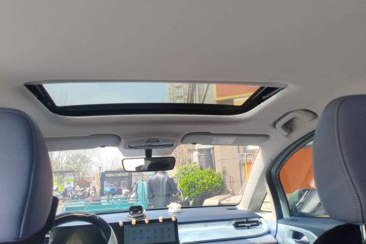 Used Geometry E Firefly 2022 401 km Linglong Tiger 4 Seats