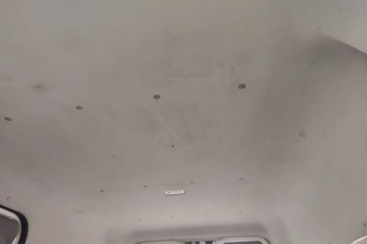 Used Foton Toano 2019 2.5T E54J25TC3 Headliner