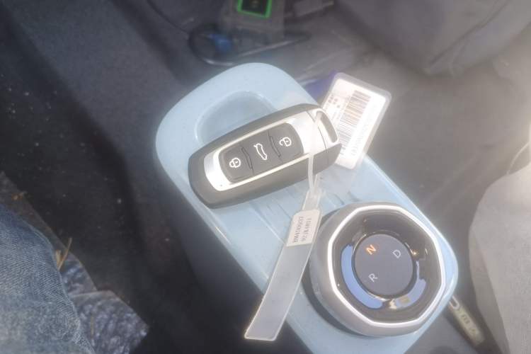 Used Geely Galaxy Panda 2024 Panda Mini 200km Endurance Bear