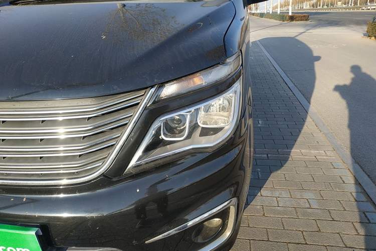 Used FORTHING Lingzhi 2017 M5L 1.6L 7-Seater Standard Model