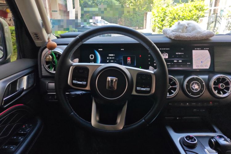 Used Tank 300 2021 City Edition 2.0T—Truly Stylish Steering Wheel