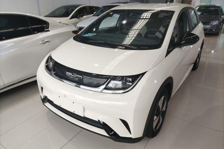 Used BYD Dolphin 2023 420 km Free Version