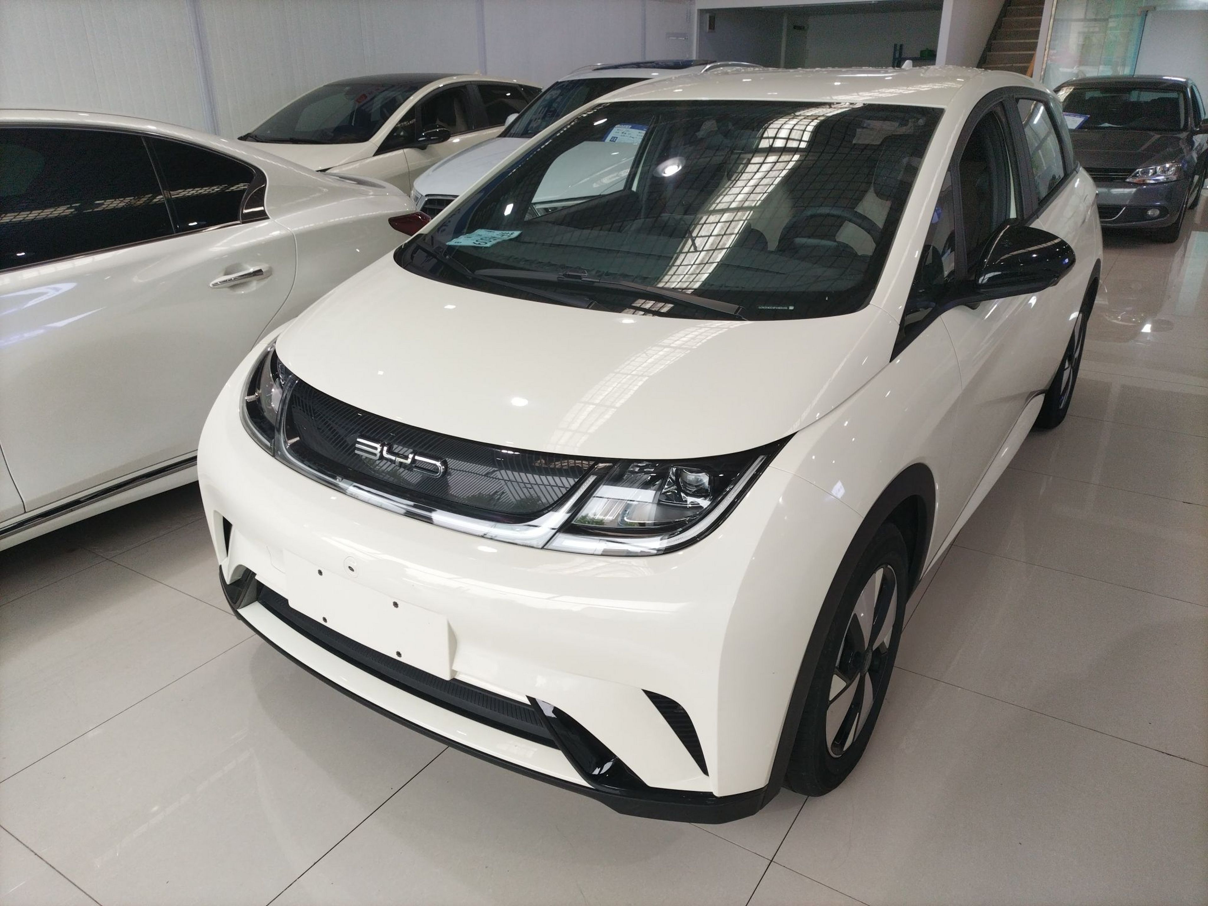 Parte inferior delantera