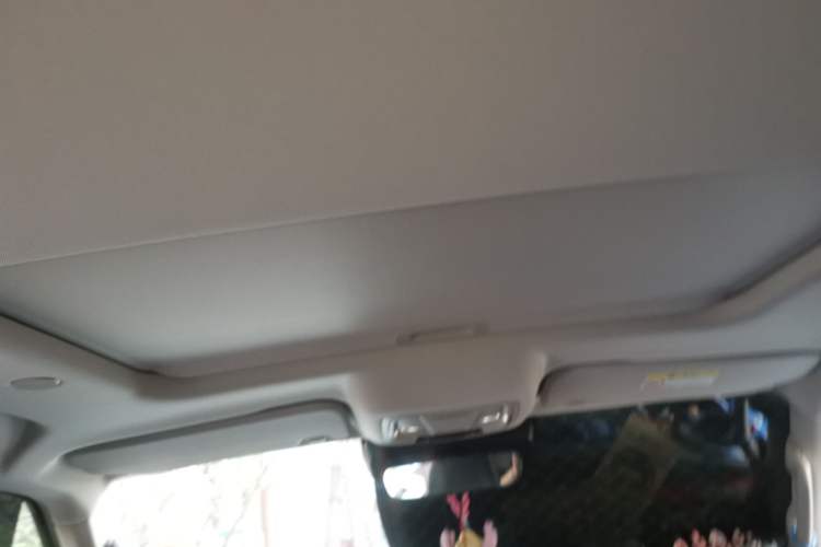 Used Tank 300 2024 2.0T Crosser