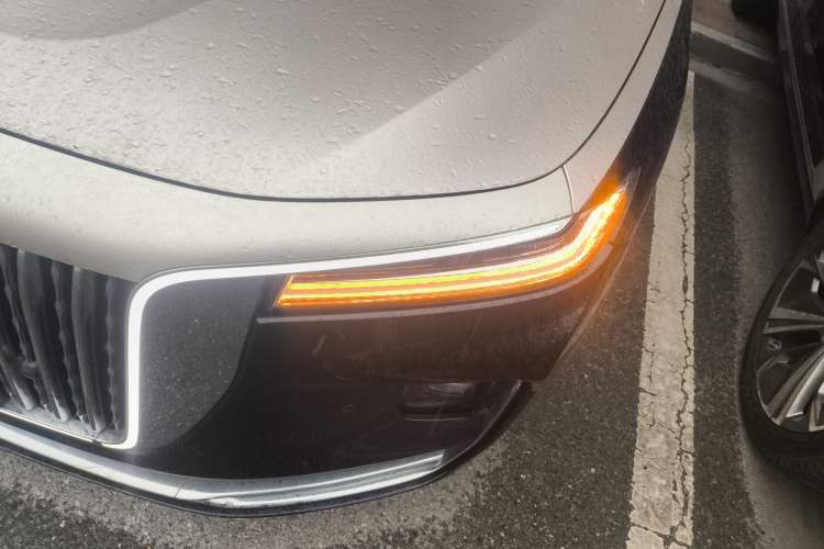 Used Hongqi H9 2020 3.0T Smart Connect Flagship Four-Seat Version