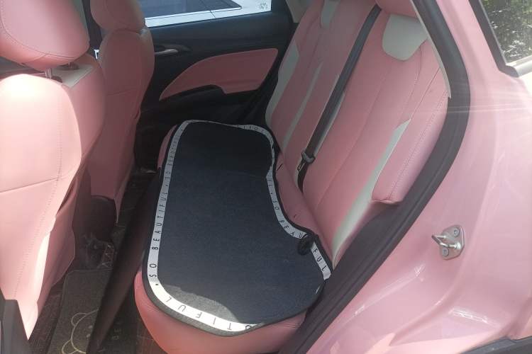 Used NETA V 2021 Witch Edition