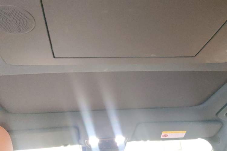 Used Li Auto L9 2024 Pro Model Headliner