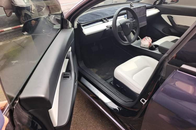 Used Tesla Model 3 2020 Standard Range Rear-Wheel Drive Upgraded Version