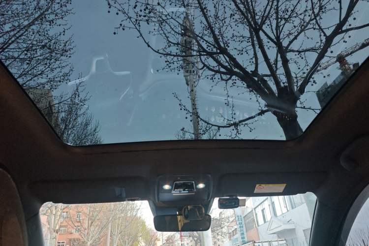 Used BYD Song PLUS New Energy 2021 EV Deluxe Model Headliner