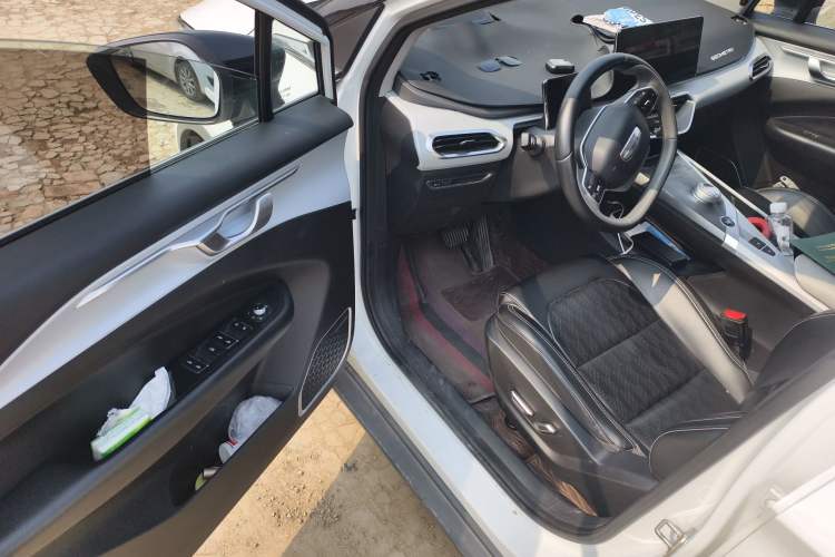 Used Geometry C 2020 Selected Range Edition 550 KM C++