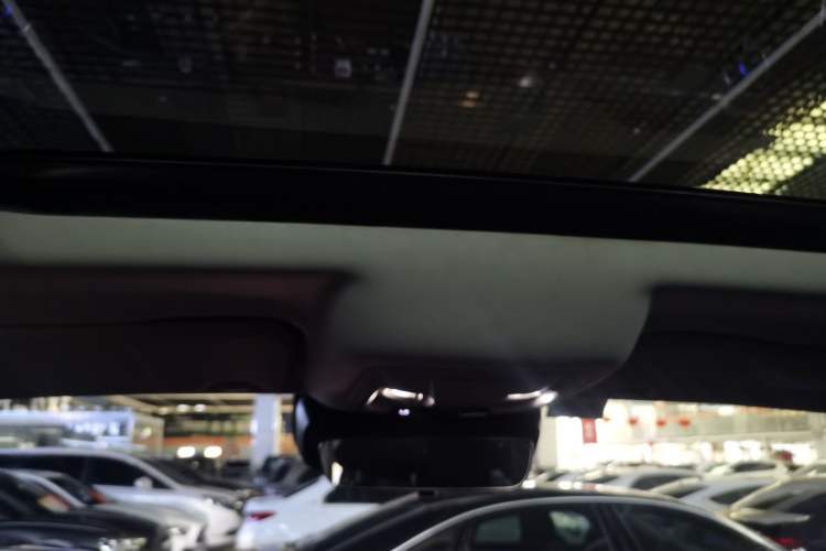 Used Tank 300 2024 2.0T Conqueror