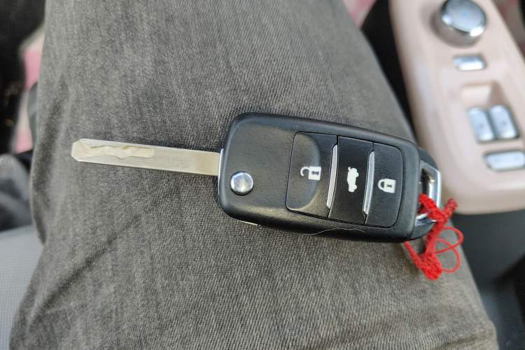 Used Qiyuan Lumin 2023 301km Honey Dew Edition