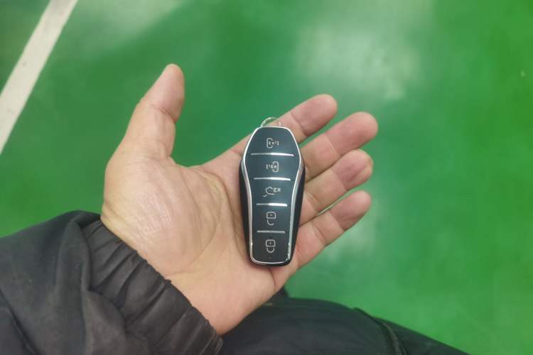 Used BYD Xia 2025 DM-i 1.5T 180km Excellence Model