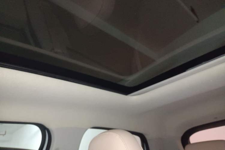 Used Leapmotor T03 2023 403 Smart Edition Headliner