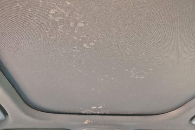 Used Lincoln MKX 2015 2.0T Two-Wheel Drive Deluxe Edition Headliner