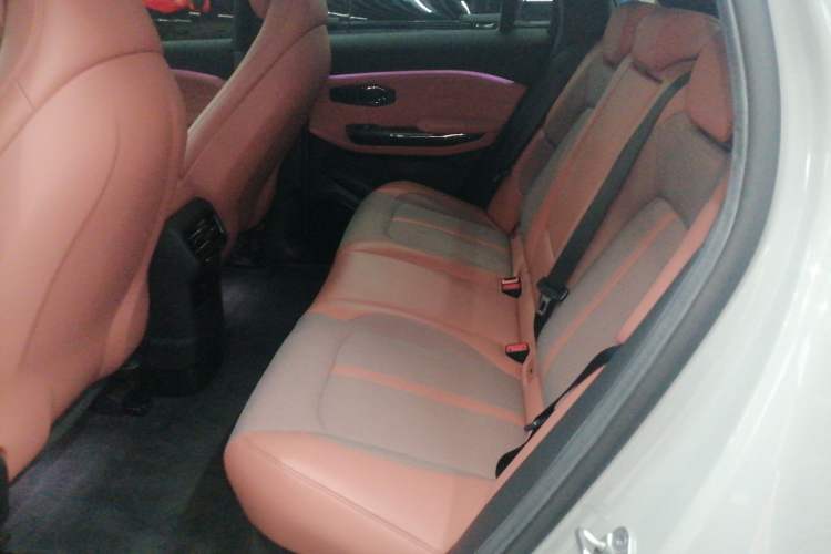 Used Nio EC6 2020 440 km Performance Version