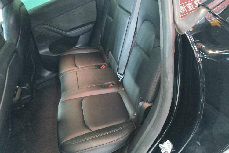 Used Tesla Model Y 2024 Rear-Wheel-Drive Version Left Rear Seat