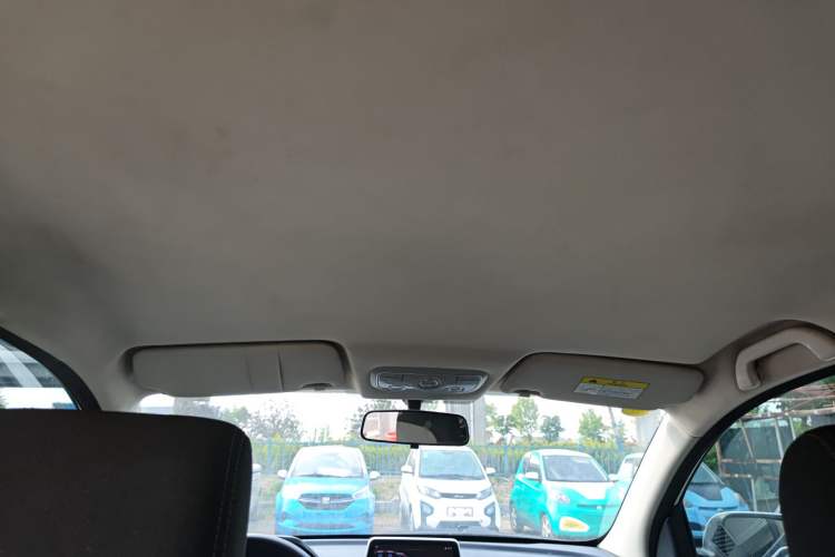 Used Dayun Yuehu 2022 30.66 kWh Two-Wheel Drive Standard Version Headliner