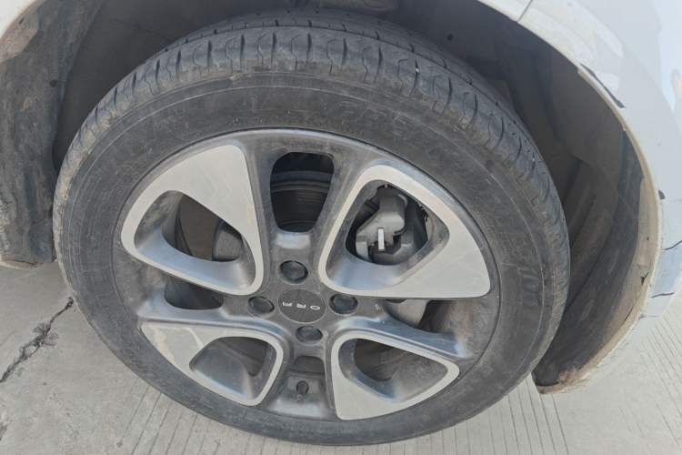 Used ORA White Cat 2020 305 km Luxury Version
