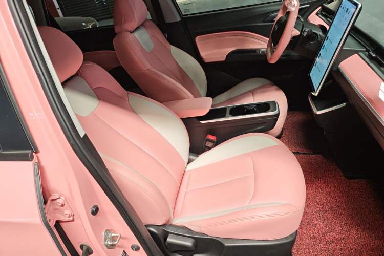 Used NETA V 2022 Chao 400 Lite Pink Custom Edition Right Front Seat