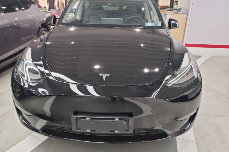 Used Tesla Model Y 2021 Standard Range Rear-Wheel Drive Version
