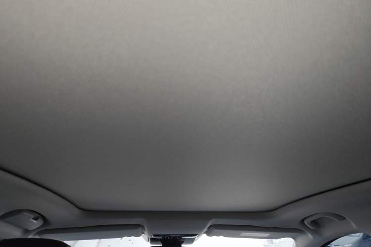 Used Bestune T90 2023 1.5T DCT Automatic Luxury Edition Headliner