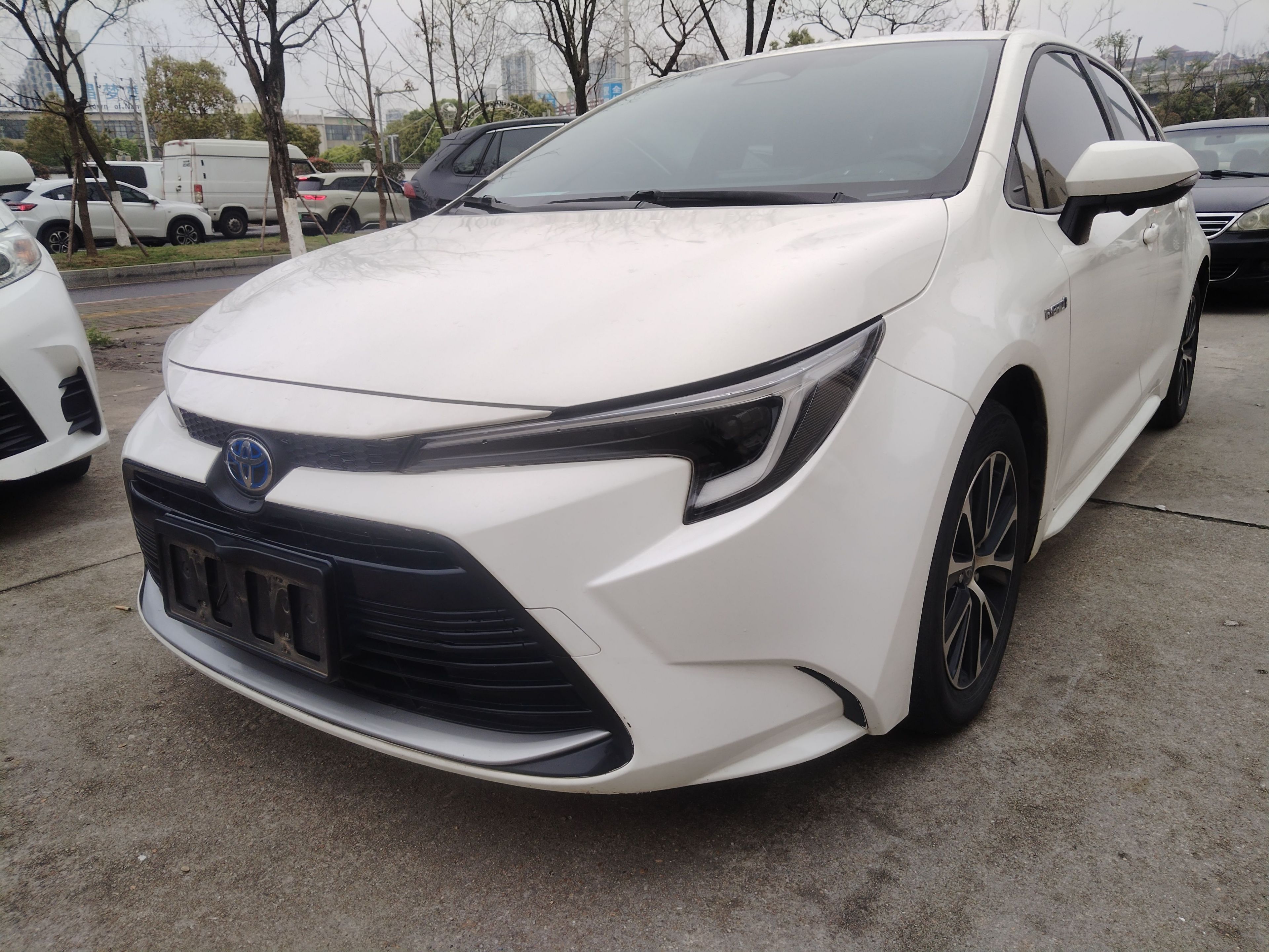 Under Front Bumper