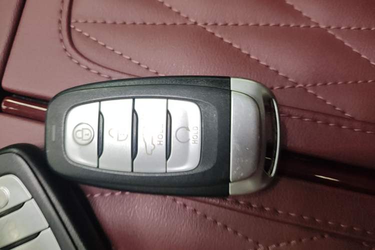 Used Hongqi E-HS9 2022 660 km Range Flagway Edition Six Seats
