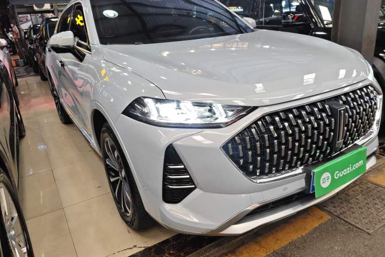 Used Wey Mocha 2021 2.0T Two-Wheel-Drive Ultra-Strong Version
