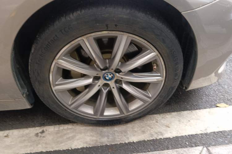 Used BMW 5 Series New Energy 2019 530Le Luxury Package