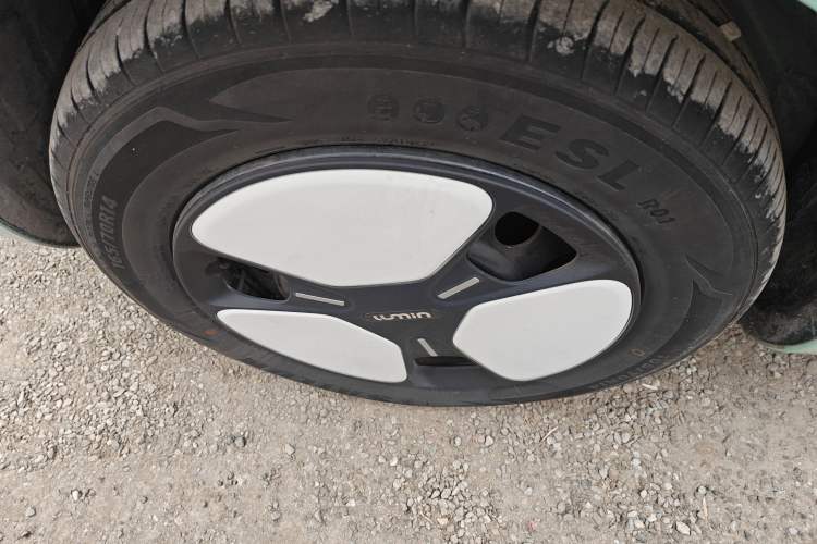 Used Qiyuan Lumin 2023 205km Xiangqin Version