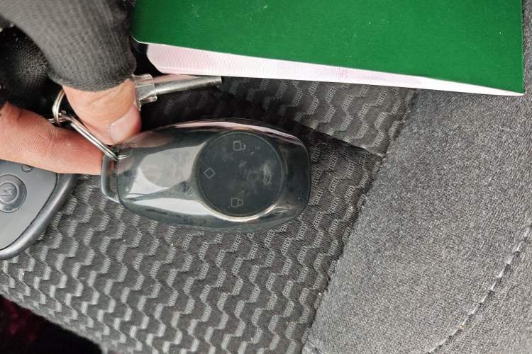 Used Leapmotor T03 2021 400 Lite Edition - Lithium-Ion Battery
