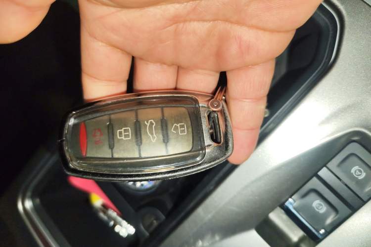 Used Haval DARGO 2024 2.0T DCT Chinese Rural Dog Edition
