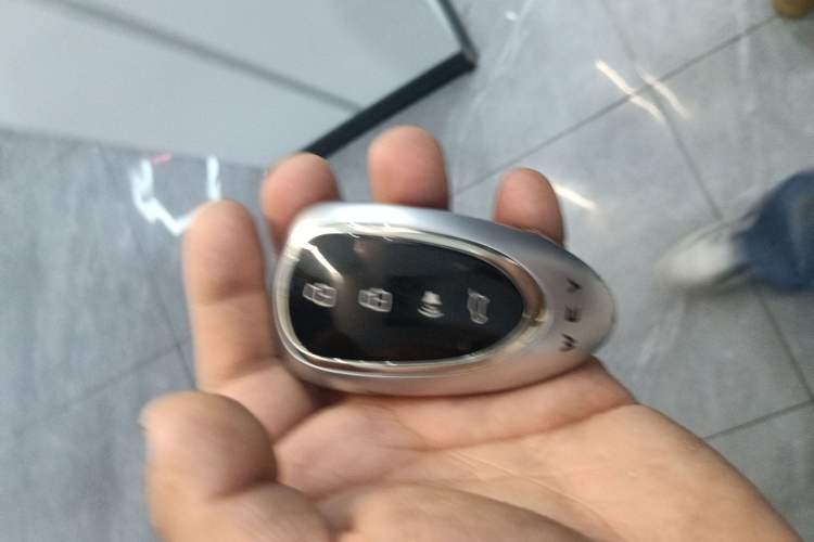 Used Wey Lanshan 2025 Four-Wheel Drive Ultra