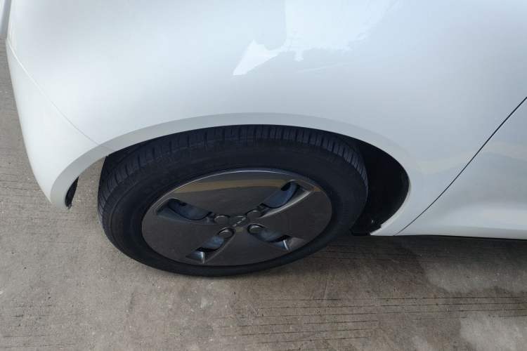 Used ORA Black Cat 2021 301 km Basic Version
